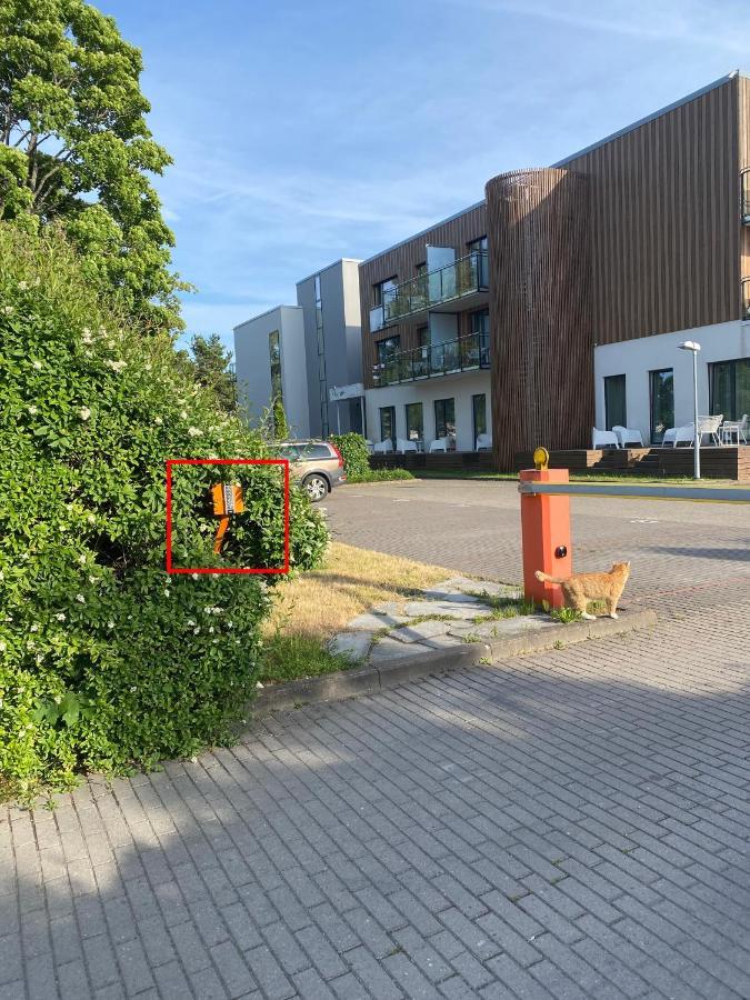 Aisa 39 Paernu Apartment I Free Parking Pärnu Exterior foto